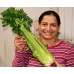 SPRAY FREE CELERY Bunch KATIKATI Grown